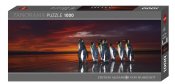 Photo Panorama Humboldt King Penguins 1000