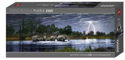Photo Panorama Humboldt Herd of Elephants 2000